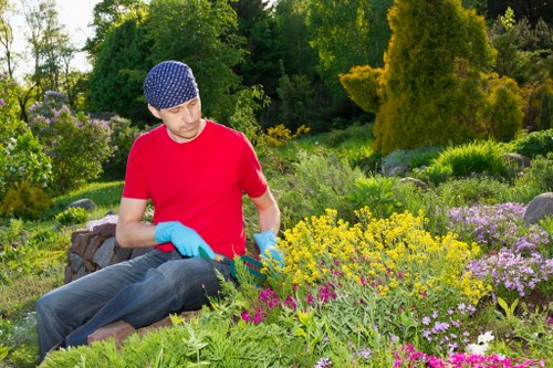 Final review of a tree surgery complaints procedure