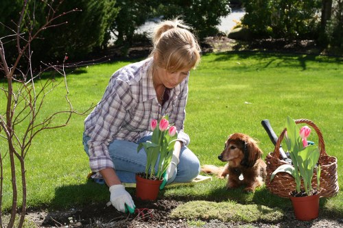 Tree Surgeons Westham online payment protection graphic